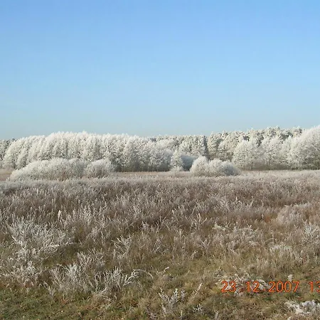 Kranichnest Rheinsberg