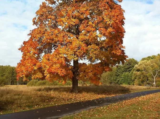 度假居 Kranichnest