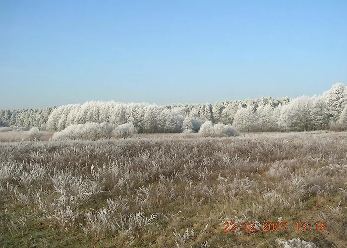 Kranichnest Rheinsberg