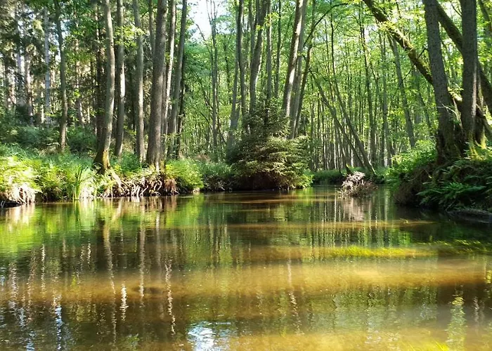 Kranichnest 度假居